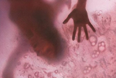 B D Picks the Top 10 Horror Remakes of All Time! 4 B D Picks the Top 10 Horror Remakes of All Time!