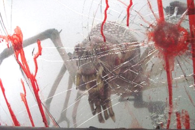 The Top 10 Doomsday Horror Films! 4 The Top 10 Doomsday Horror Films!