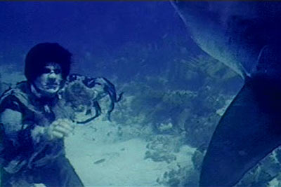 The Top 10 Most Unusual Zombie Occupations 2 The Top 10 Most Unusual Zombie Occupations