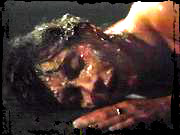 h2 2 Halloween II: The Nightmare Isnt Over