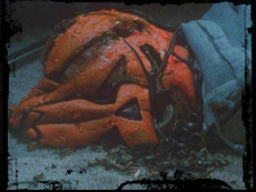 hall3 3 Halloween III: Season of the Witch