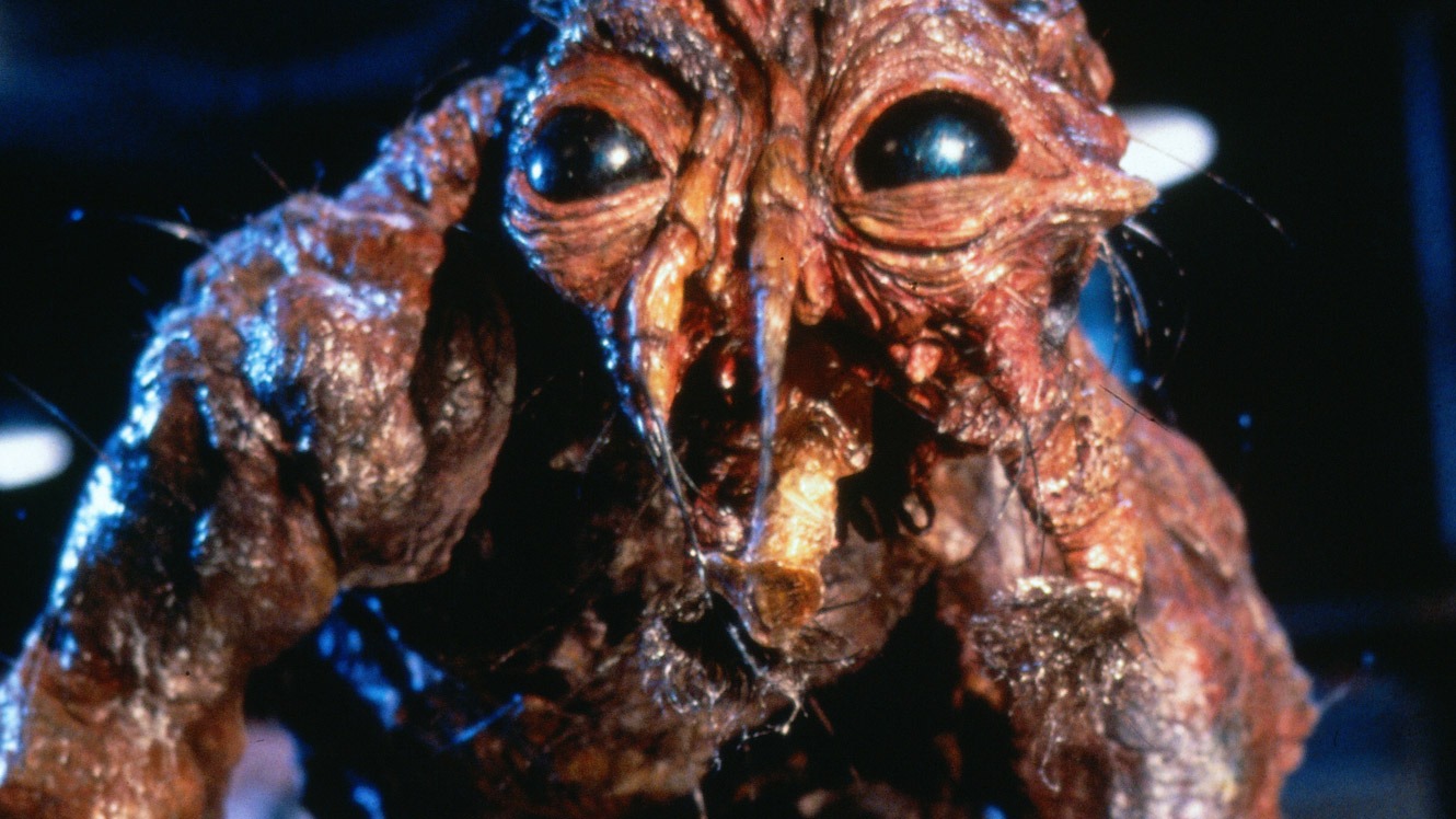James Gunn Recommends 12 Body Horror Movies to Watch Before Seeing 'Clayface'
