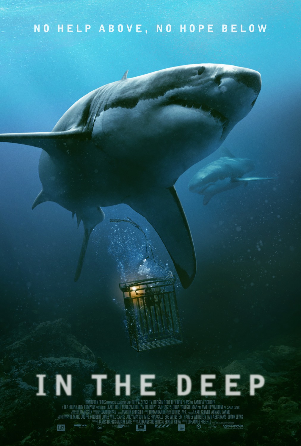 In the Deep': The Weirdest Thing Just Happened With the Newest Shark  Thriller Starring Mandy Moore - Bloody Disgusting