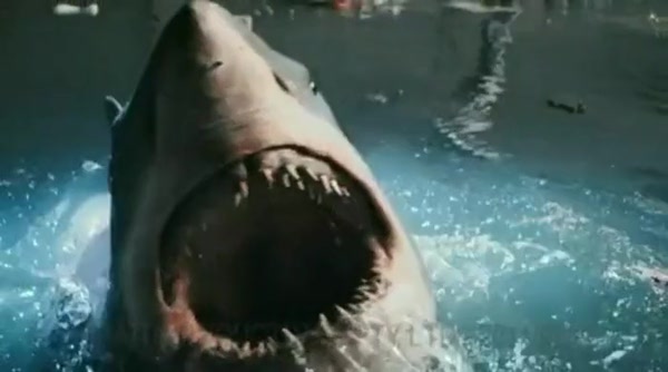 Shark (Bait 3D) (2012)