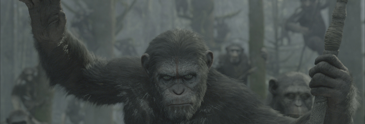 Caesar Rules In 'Dawn Of The Planet Of The Apes' Trailer Tease! - Bloody  Disgusting