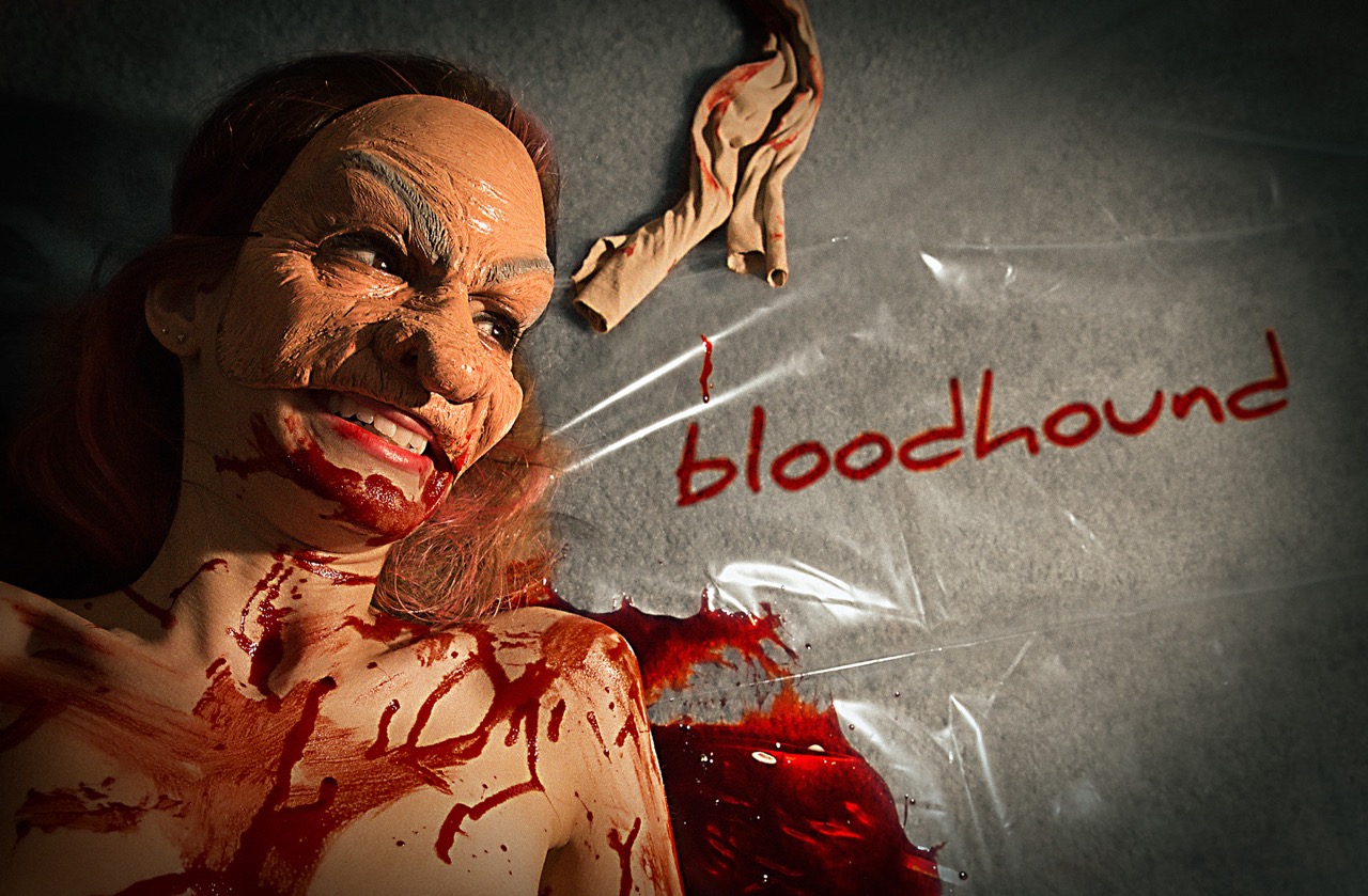 Bloodhound