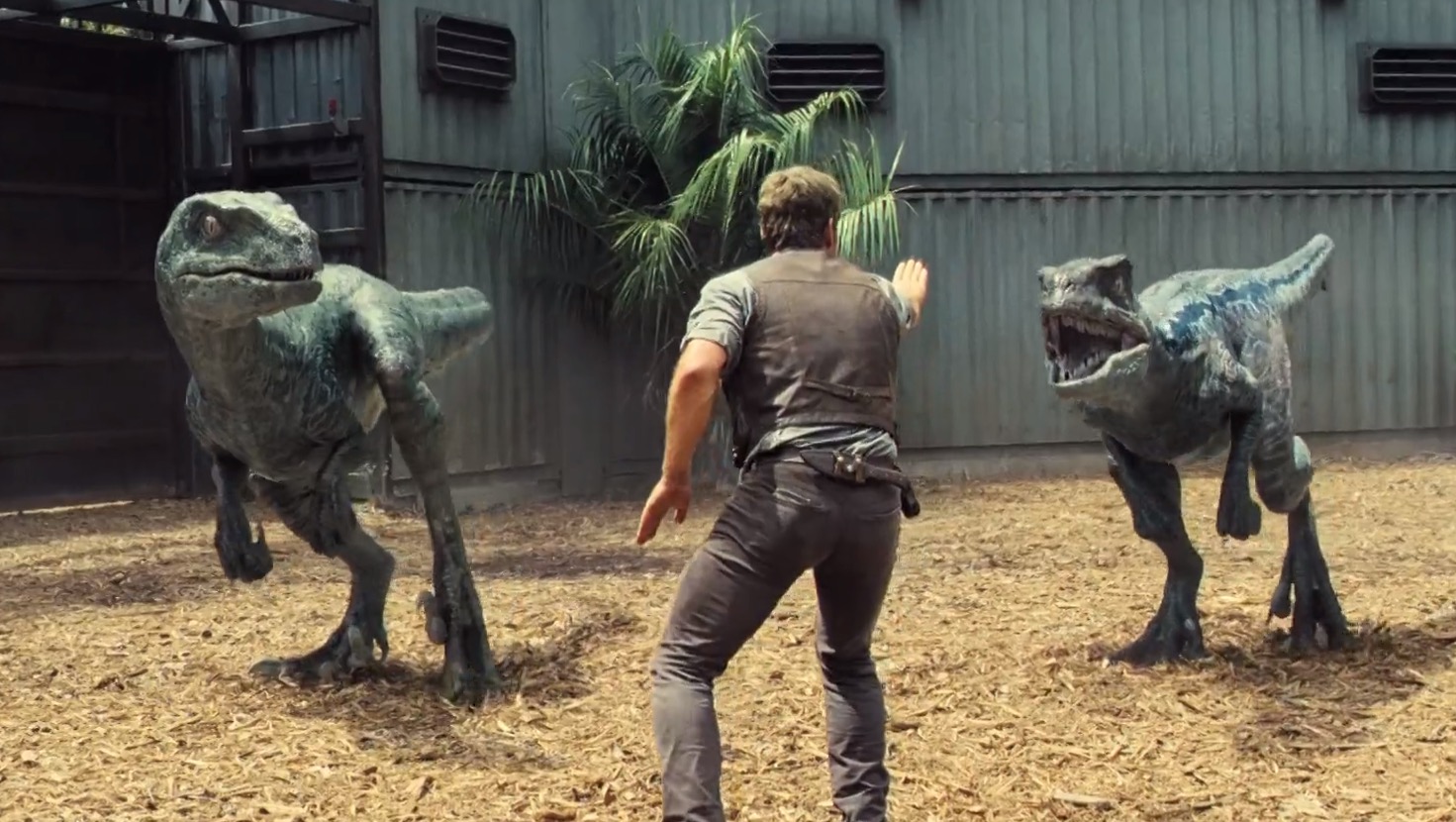Chris Pratt Saves Little Timmy From Raptors In This Jurassic World Clip Bloody Disgusting