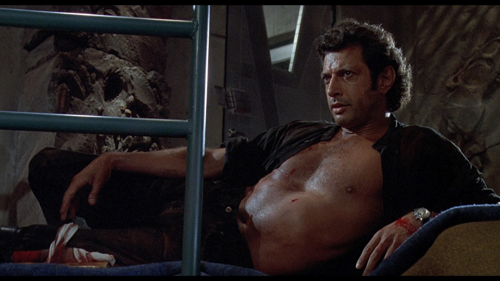 Sexy Silver Haired Jeff Goldblum Recreates Iconic Shot from 'Jurassic Park'  Nearly 30 Years Later - Bloody Disgusting