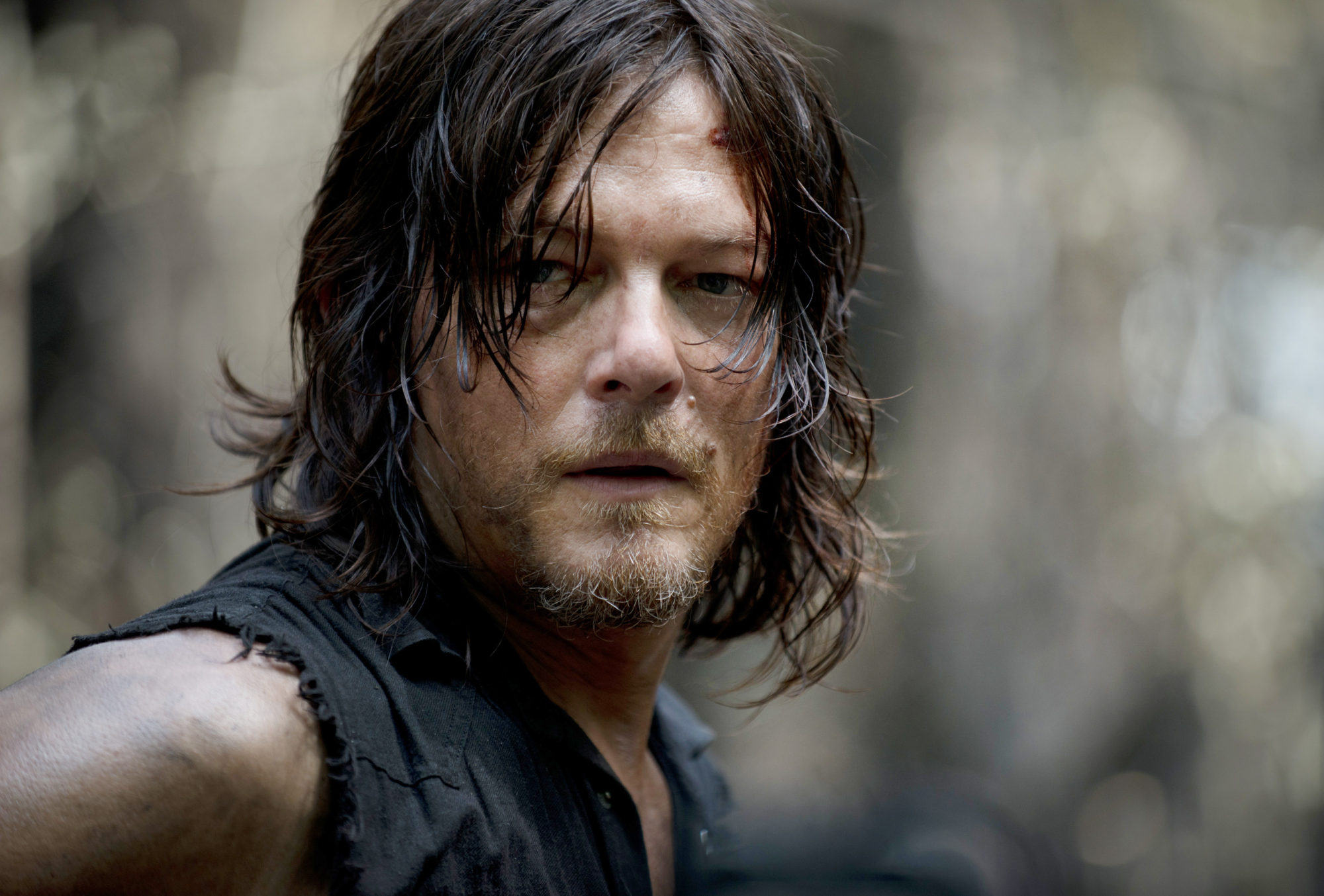 The Walking Dead" - Norman Reedus Spinoff Will Take Daryl Dixon to France -  Bloody Disgusting
