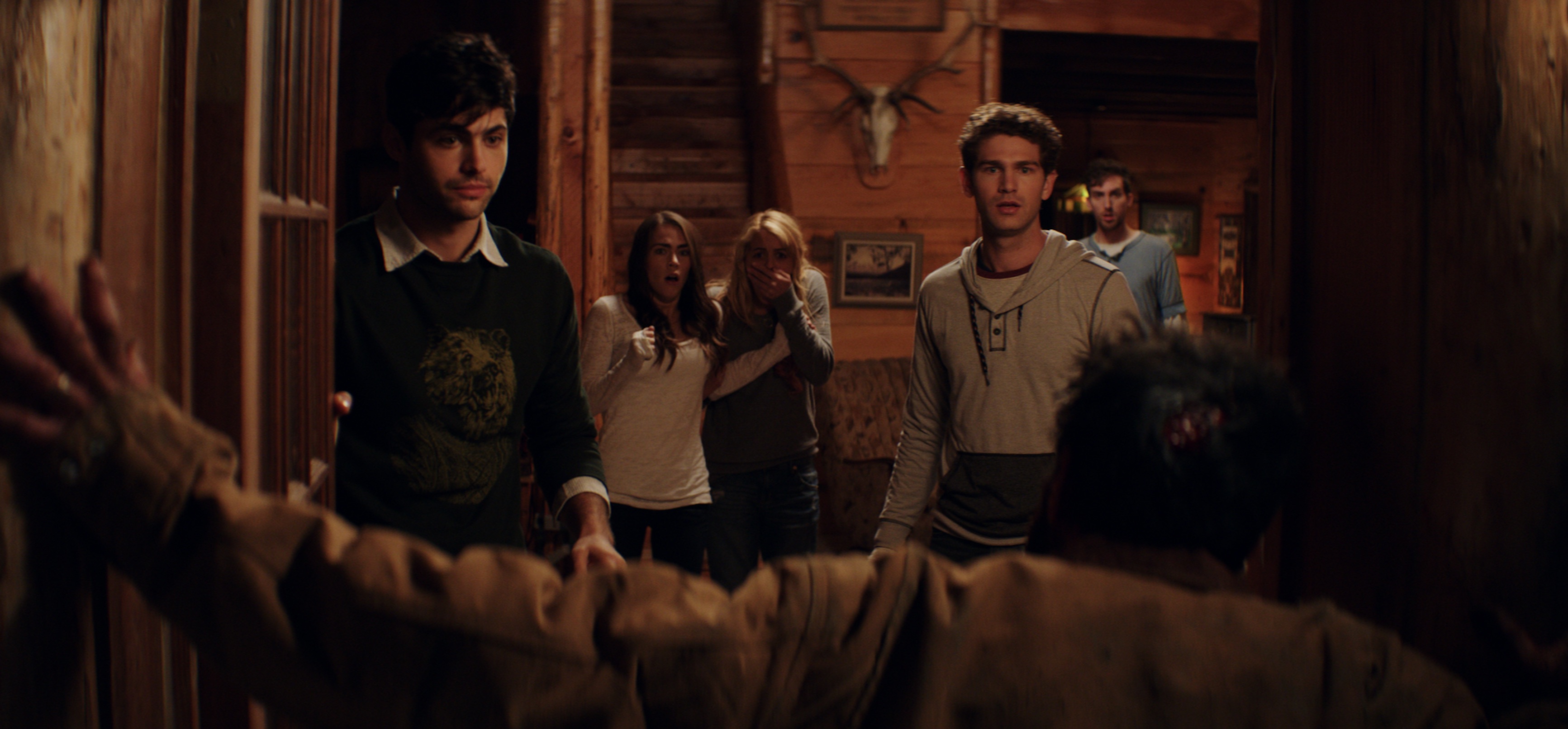 Review] 2016's 'Cabin Fever' Lacks the Soul of the Original - Bloody  Disgusting