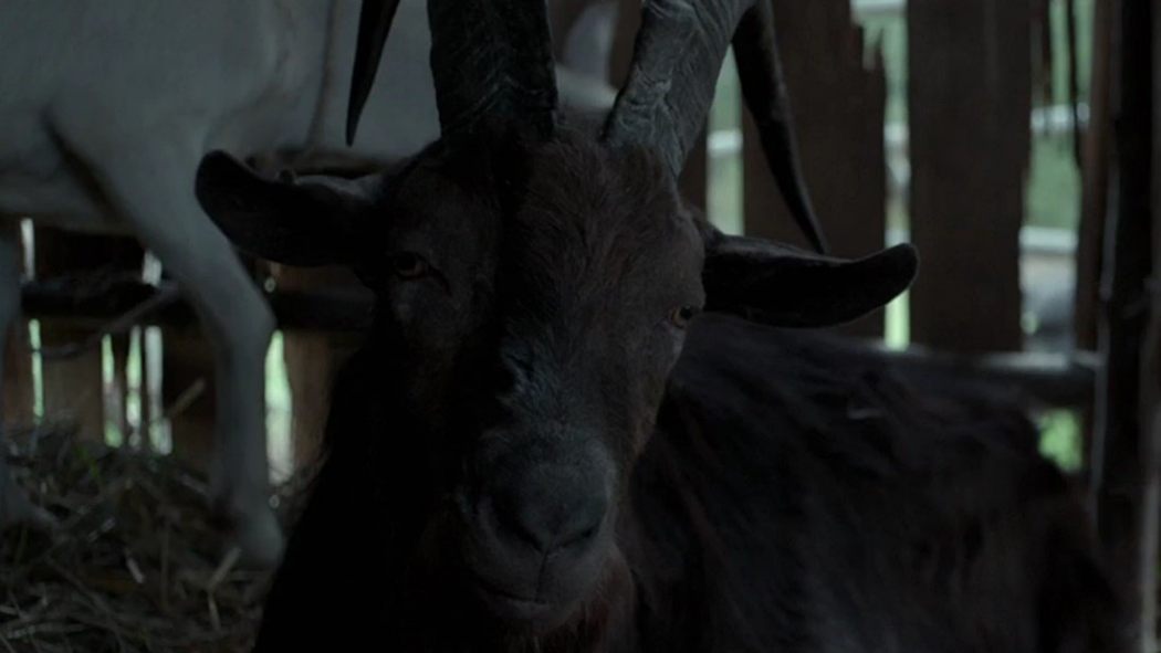 Funko Actually Just Made a POP! Vinyl Toy of Black Phillip from 'The Witch'  - Bloody Disgusting