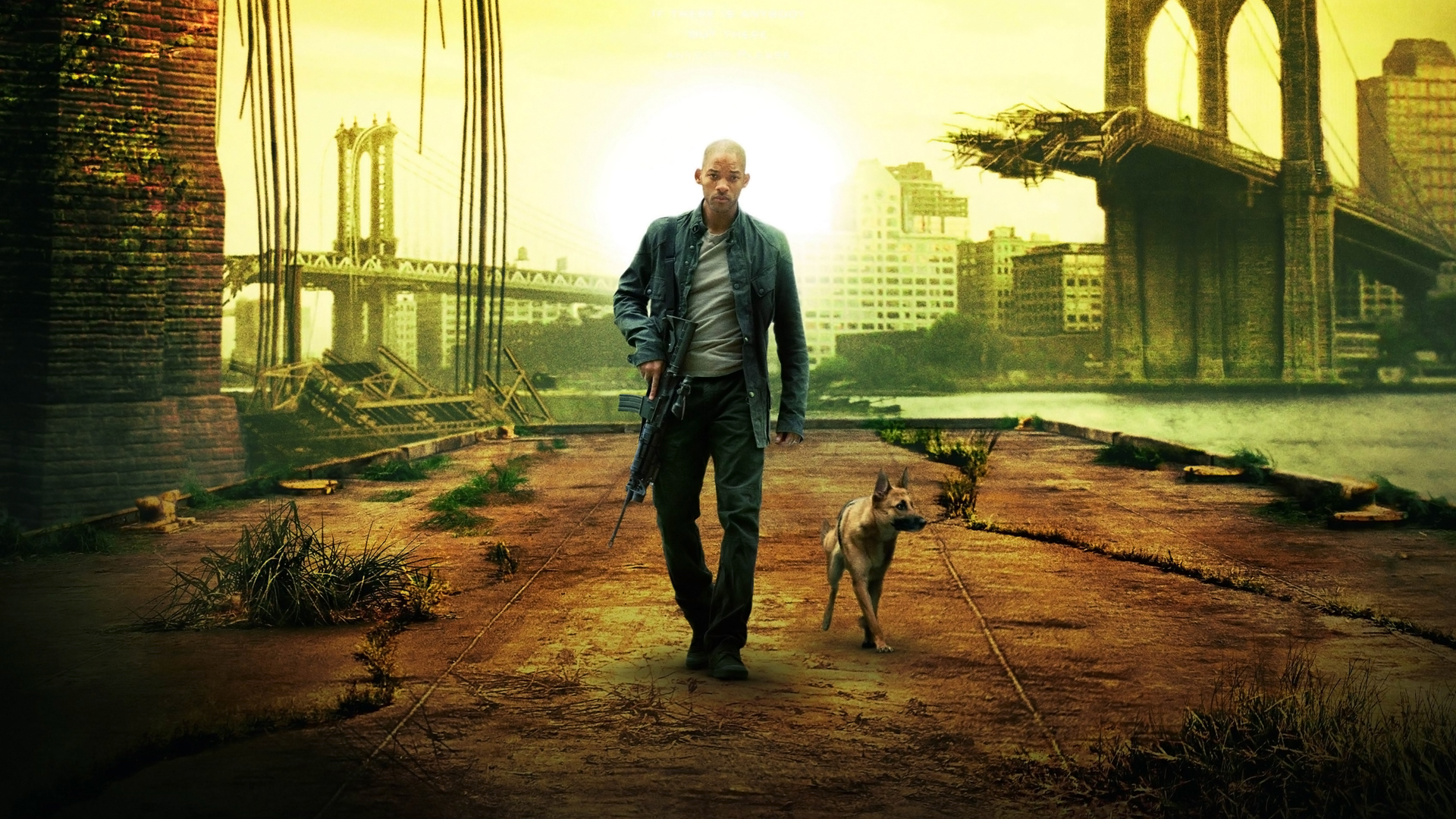 I Am Legend' - Akiva Goldsman Says Upcoming Sequel Will Use Alternate Ending  as a Launching Point - Bloody Disgusting