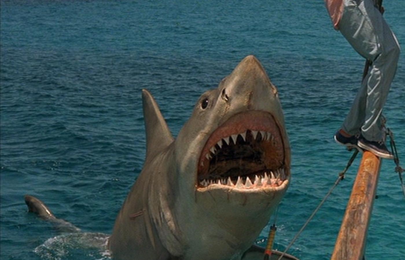 "That Was a Franchise?" – 'Jaws' - Bloody Disgusting
