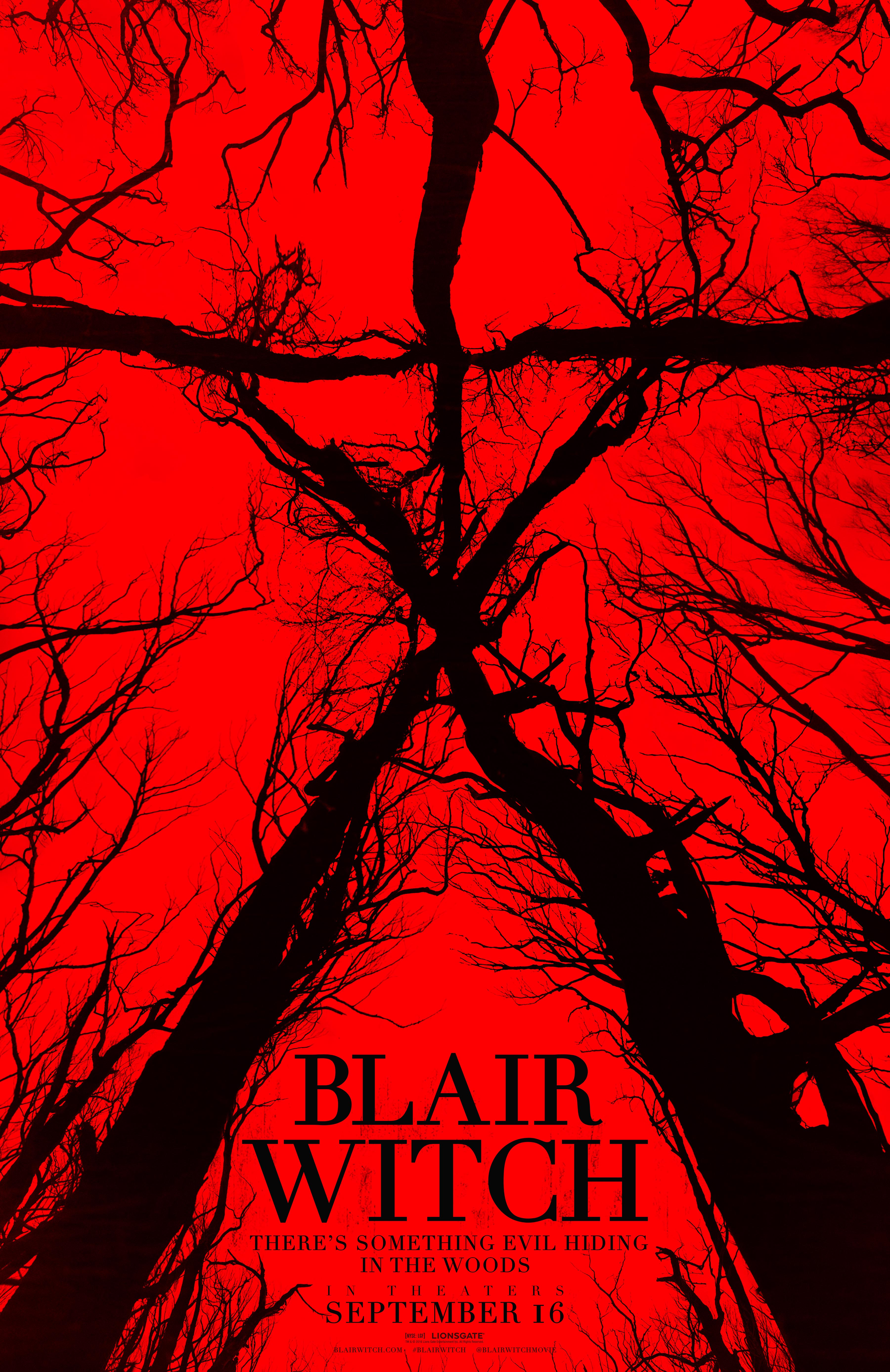 BLAIR WITCH (the Woods) image courtesy of Lionsgate