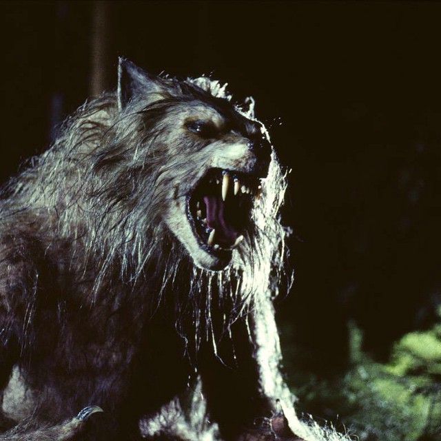 Blu-ray Review] 'Bad Moon' is Trashy Werewolf Fun - Bloody Disgusting