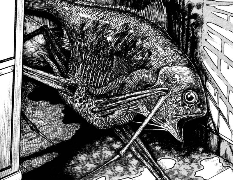 Out of any panel that Junji Ito has drawn this is the most