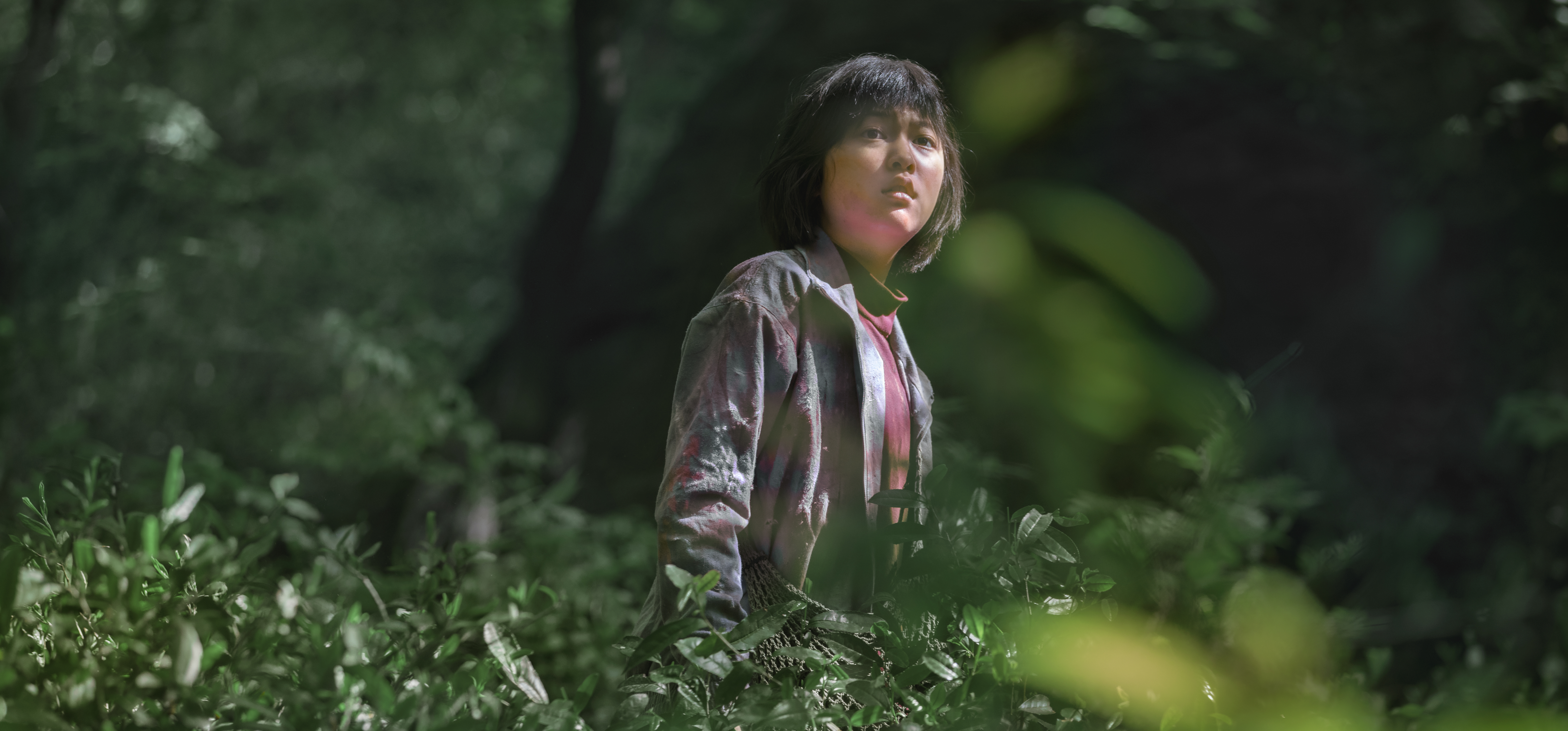 Okja via Netflix