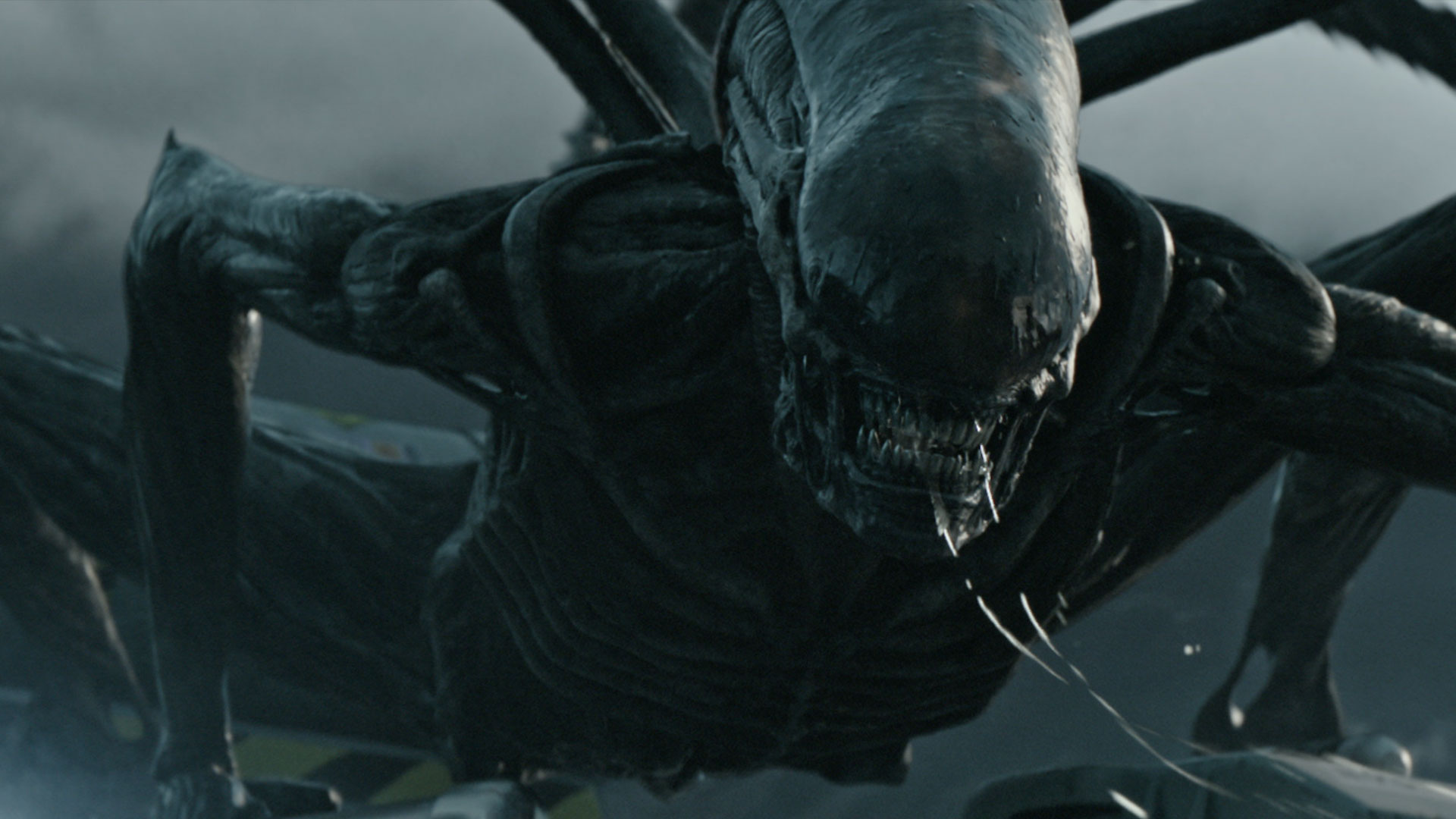 We've Got the Brand New 'Alien: Covenant' Trailer and It's INSANE! - Bloody  Disgusting