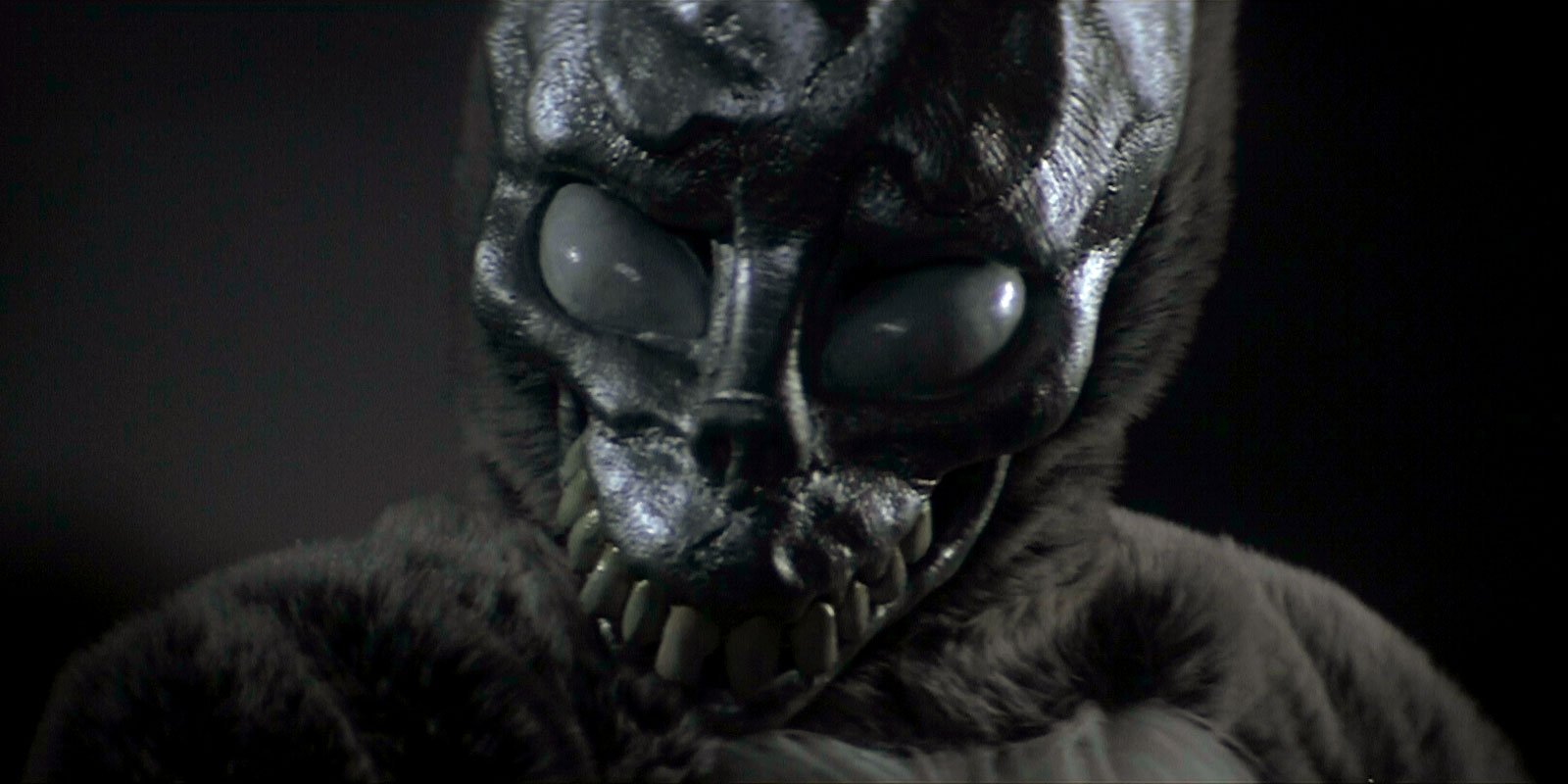 Enter the Tangent Universe with ‘Donnie Darko’ Immersive House Party in Australia