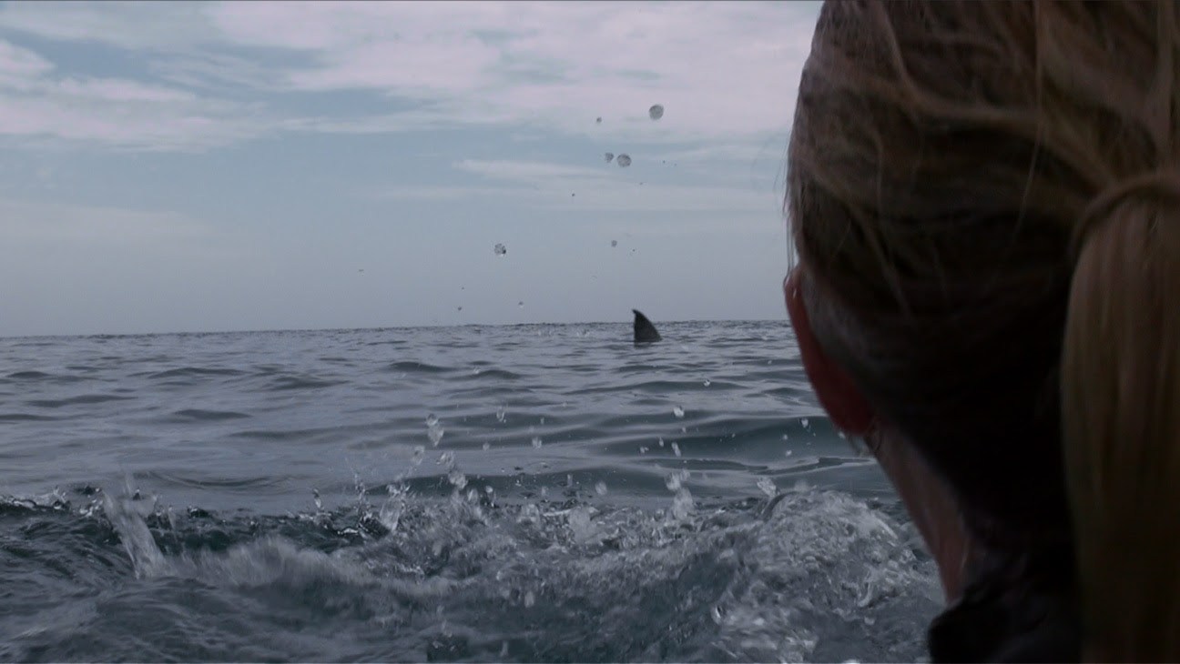 Open Water 3 Cage Dive' Poster Drops 47 Meters Down - Bloody Disgusting
