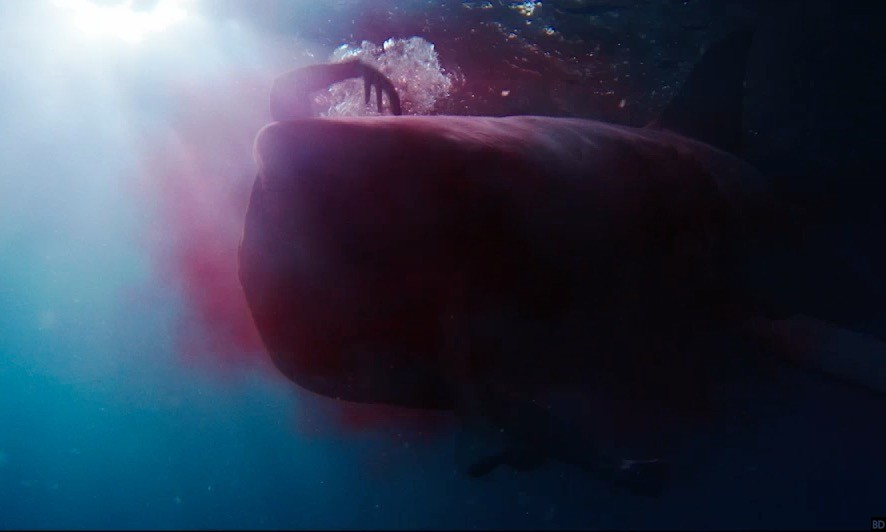 Creating the CGI Sharks in '47 Meters Down' [Exclusive] - Bloody Disgusting