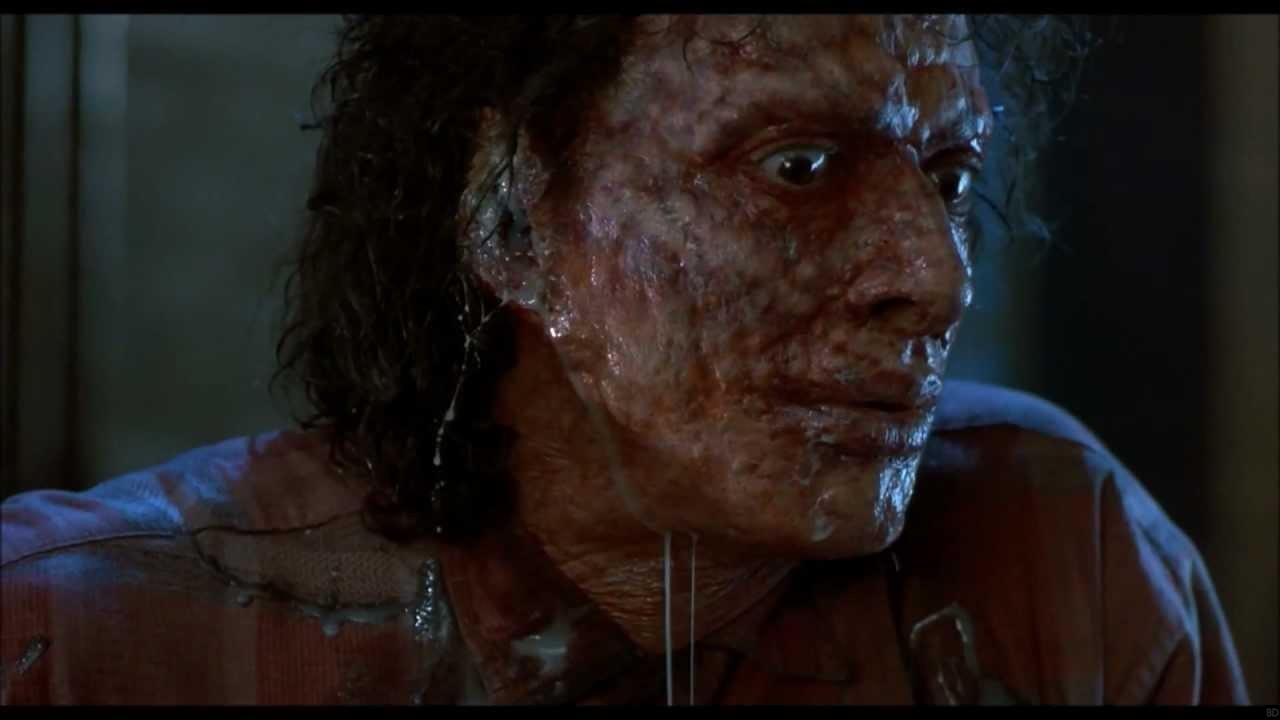 The Fly