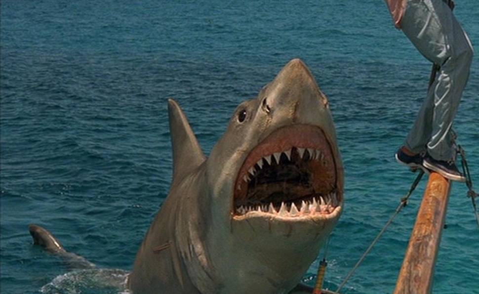 Video] A Visual FX Team Redid the Awful Shark Effects in 'Jaws: The  Revenge' With Modern CGI - Bloody Disgusting