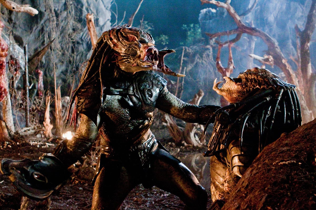 Wallpaper weapons, people, predator, stranger, machine, aliens vs