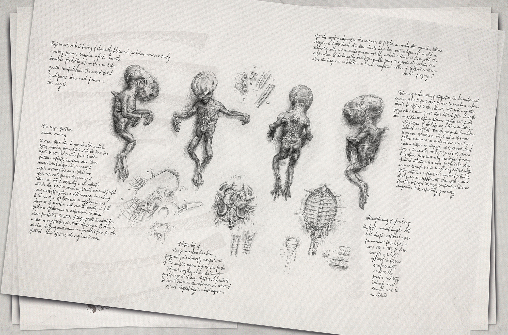 Exclusive Look Inside 'Alien Covenant: David's Drawings' Book - Bloody  Disgusting