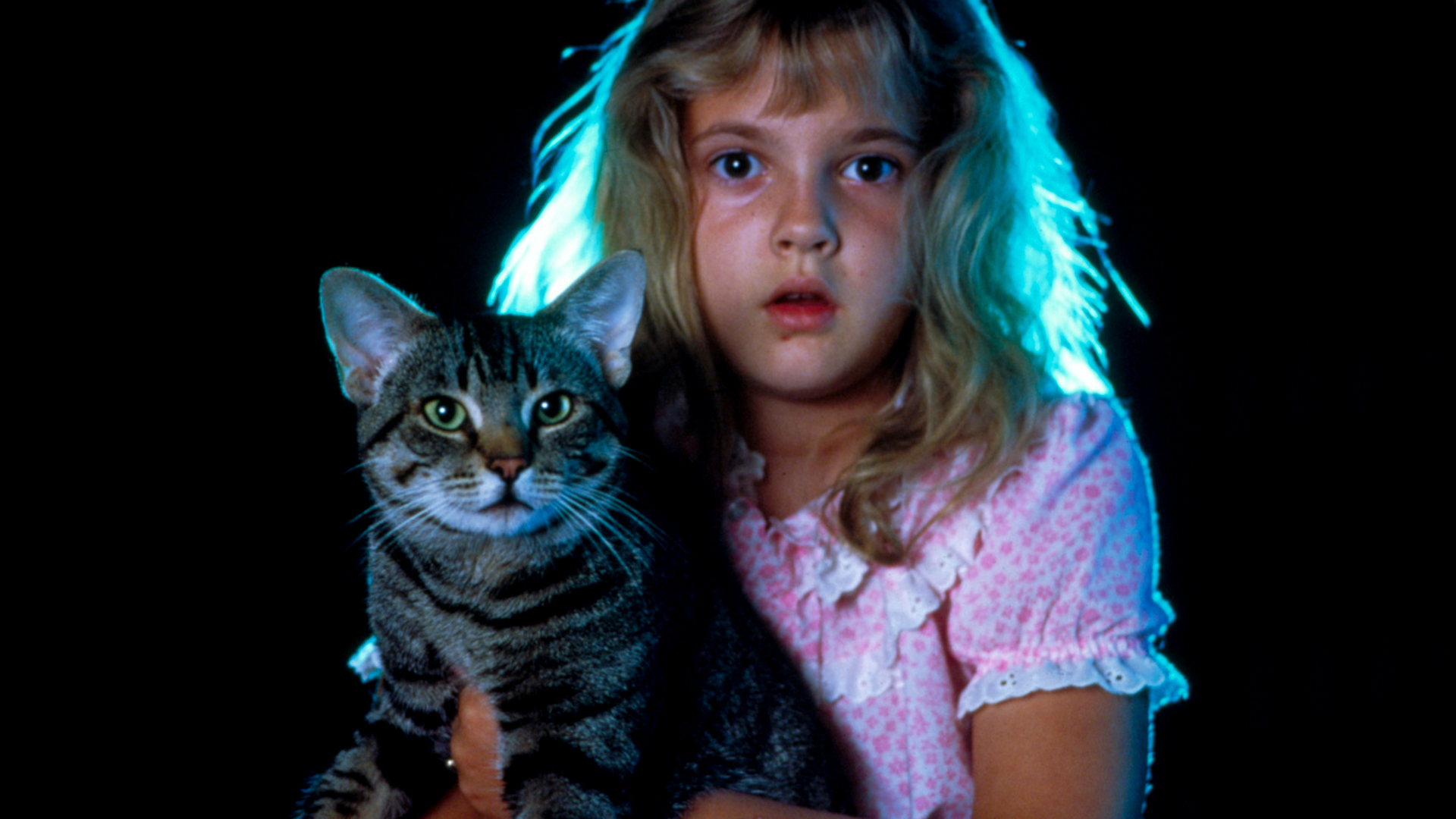 Anthology ‘Cat’s Eye’ Was the First Cinematic Stephen King Universe