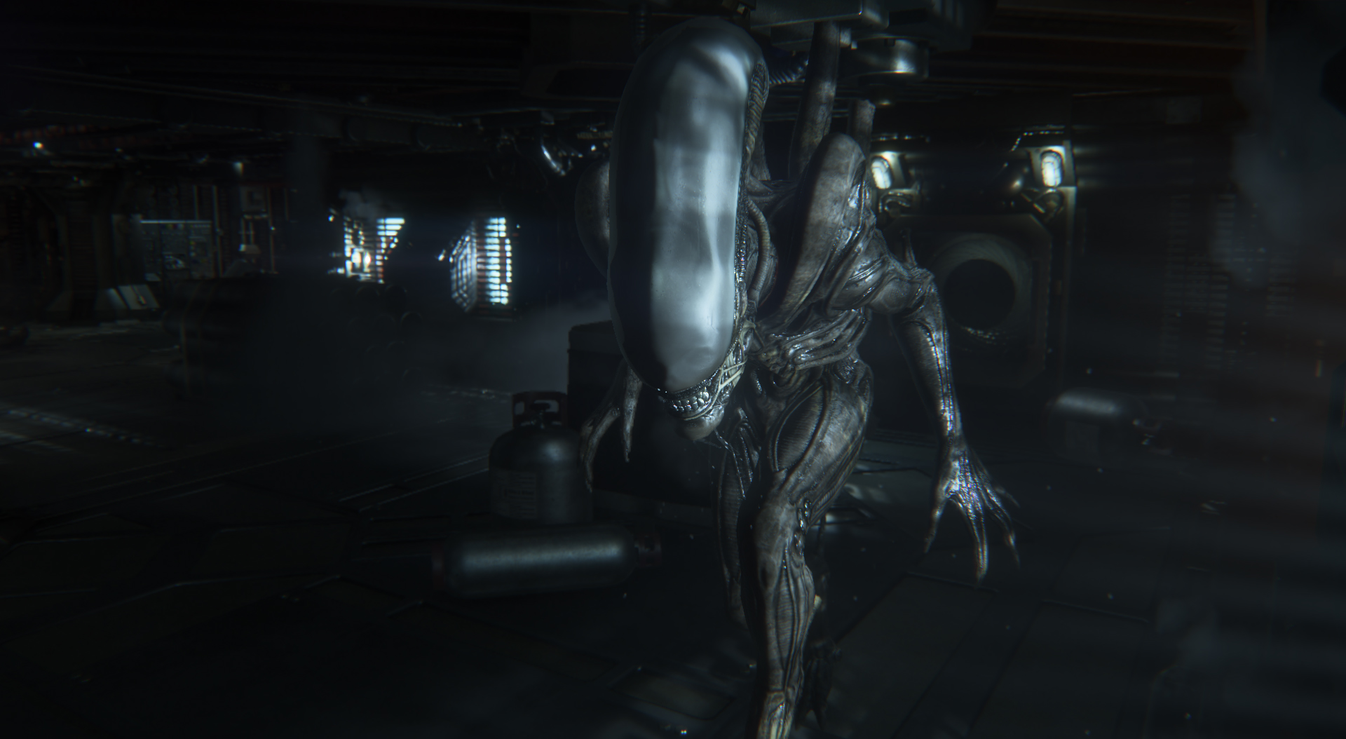 Fox Clarifies That 'Alien Isolation 2' Is Definitely Not Planned, Nor Is an  Amanda Ripley Movie - Bloody Disgusting