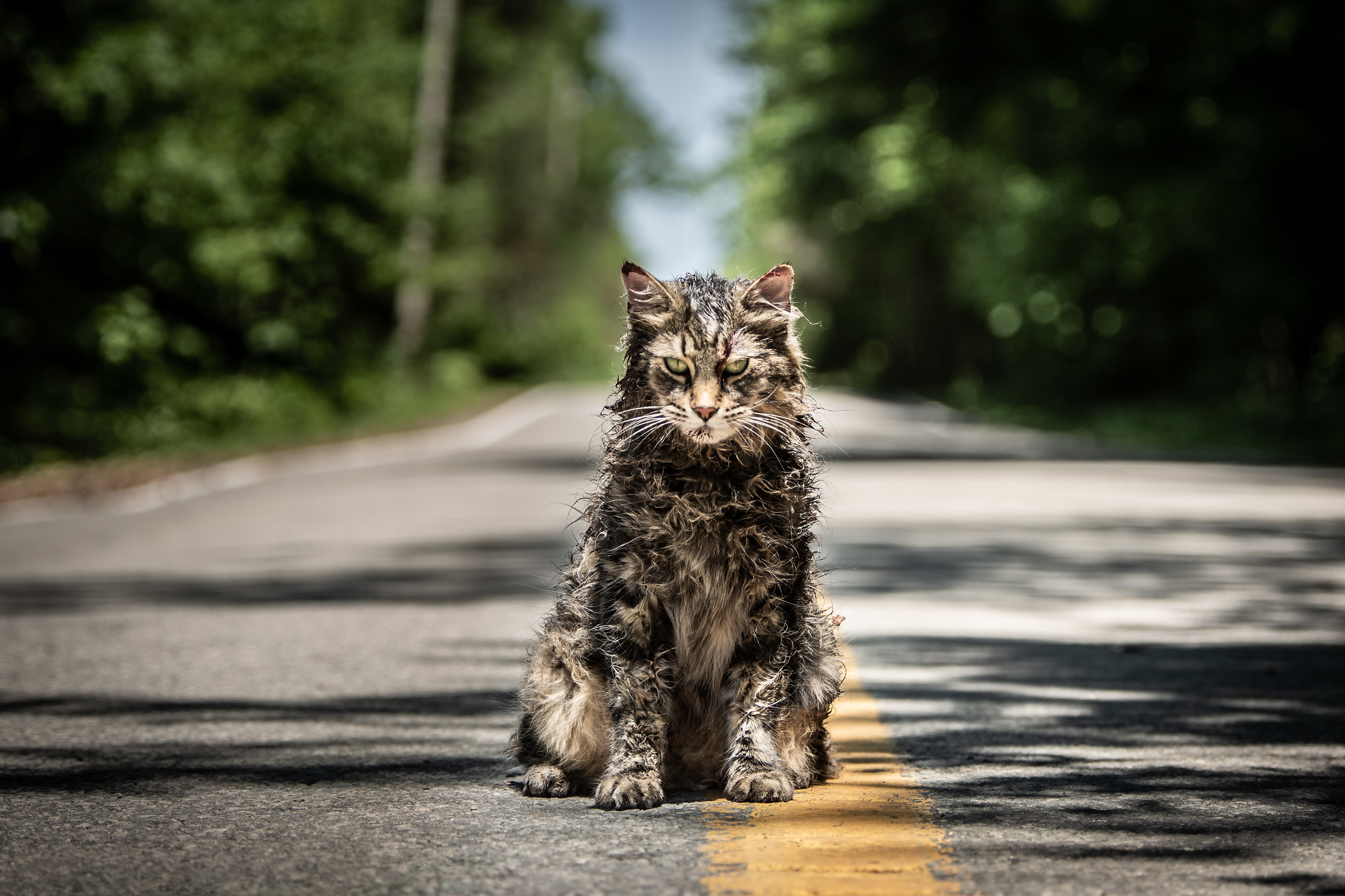 First Look at 'Pet Sematary' and Its 