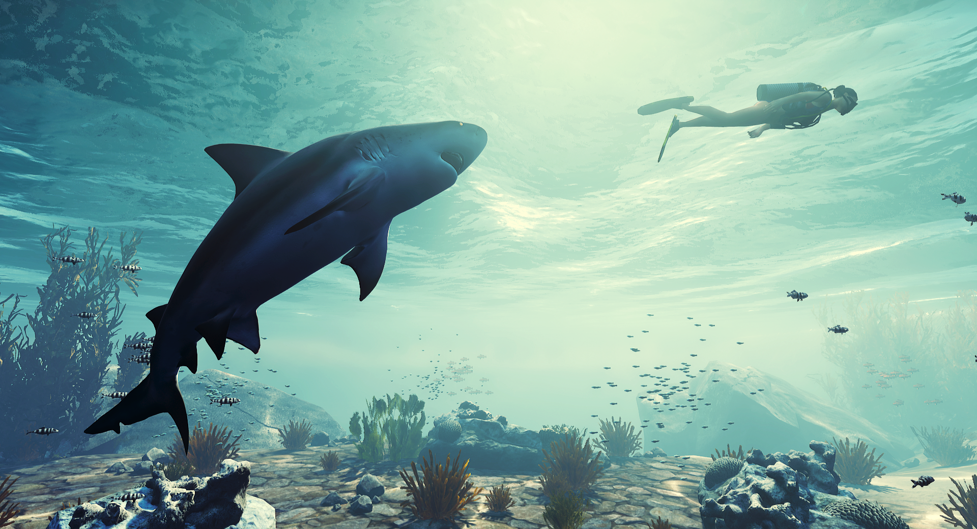 An Interactive Journey With Sharks! PC Game
