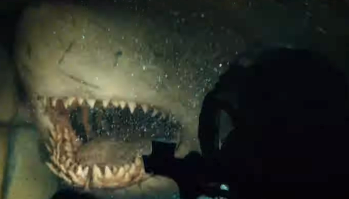 Terrifying Shark Attack Horror Spotlighted in This 47 Meters Down Uncaged Clip pic