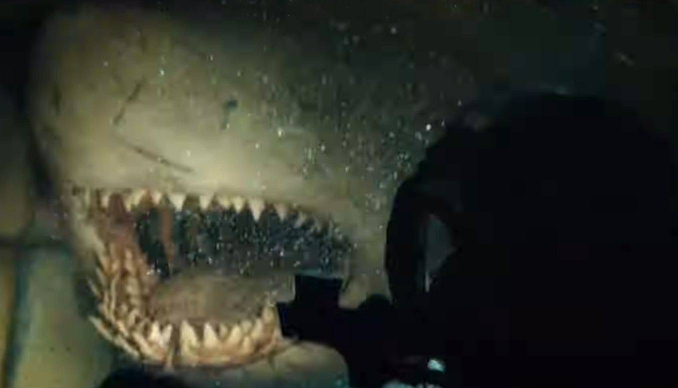 Terrifying Shark Attack Horror Spotlighted in This '47 ...