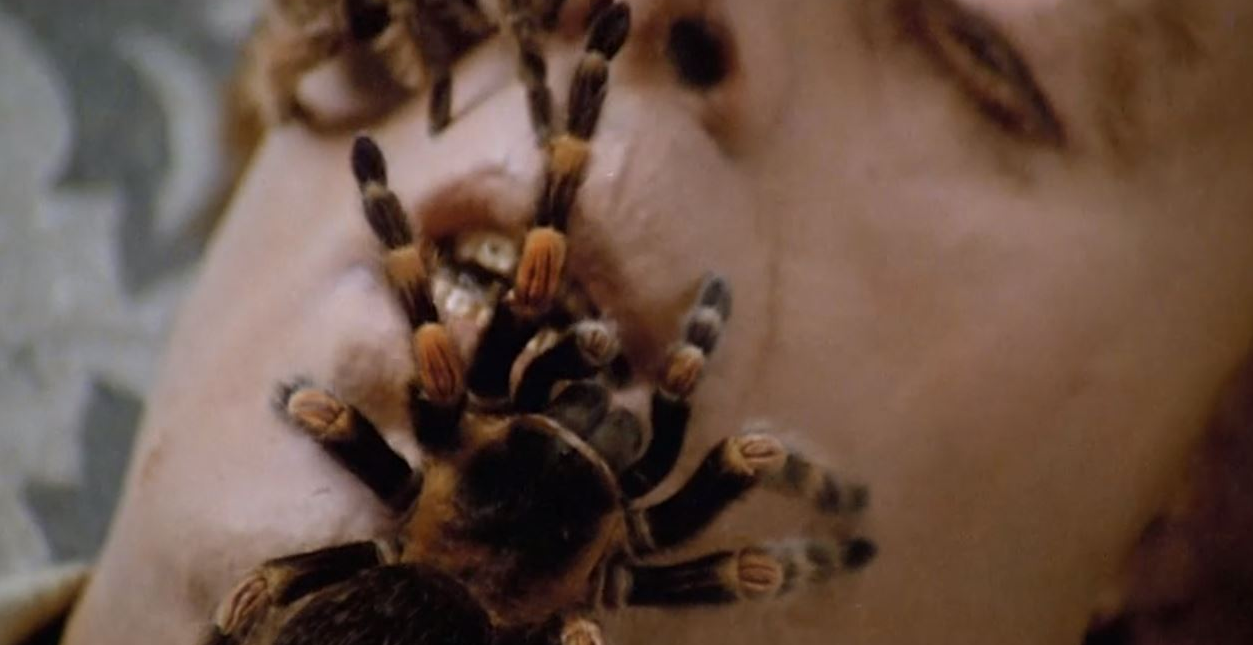 Arachnophobes Beware The Most Nightmarish Spider Scenes In