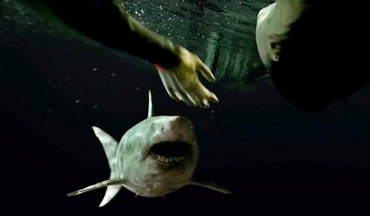 47 meters down uncaged watch online hotsell