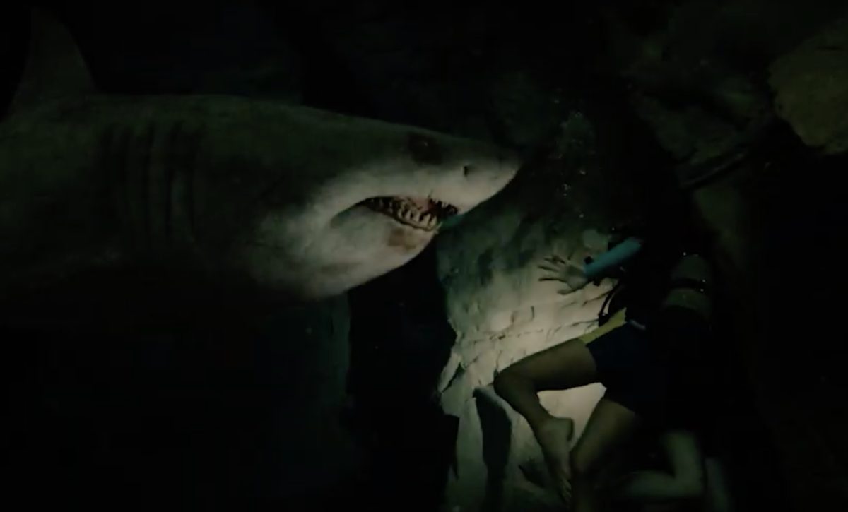 47 Meters Down: Uncaged' Cast Reflect on "Terrifying" and "Scary" Sequel  [Exclusive Video] - Bloody Disgusting