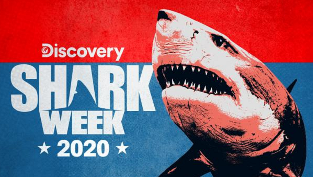 Full Shark Week 2020 Schedule Includes More Than 20 Hours of Brand New  Programming - Bloody Disgusting