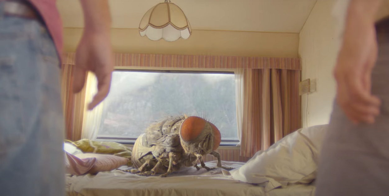 Mandibles': 'Rubber' Director Quentin Dupieux's New Movie is a Bizarre  Comedy Starring a Giant Fly [Trailer] - Bloody Disgusting