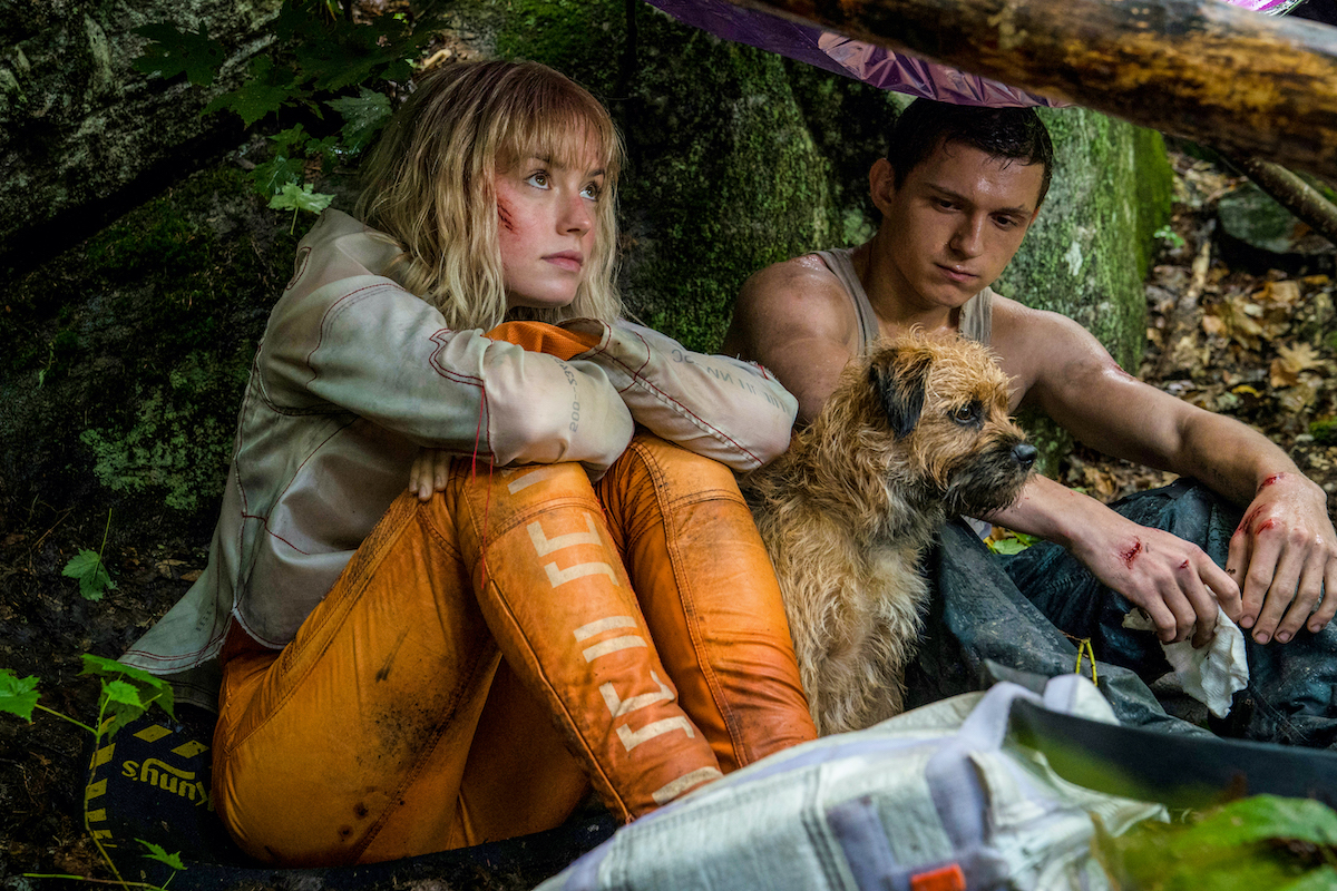 Trailer for Post-Apocalyptic 'Chaos Walking' Gets in the Head of Tom  Holland [Video] - Bloody Disgusting