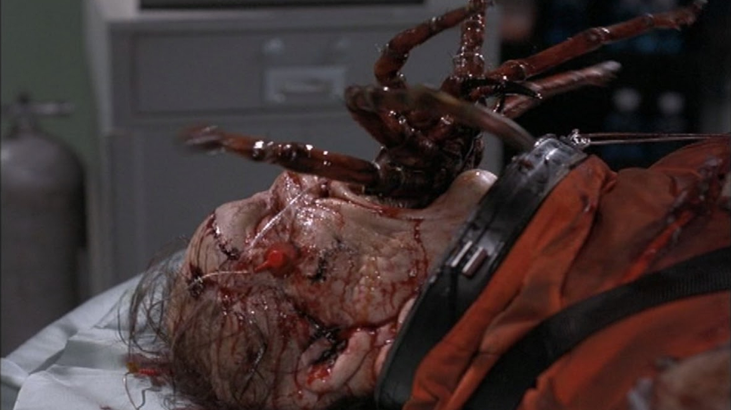 Hidden Gems: 'Spiders' is an Underrated Eight Legged Creature Feature With  Nasty Effects - Bloody Disgusting
