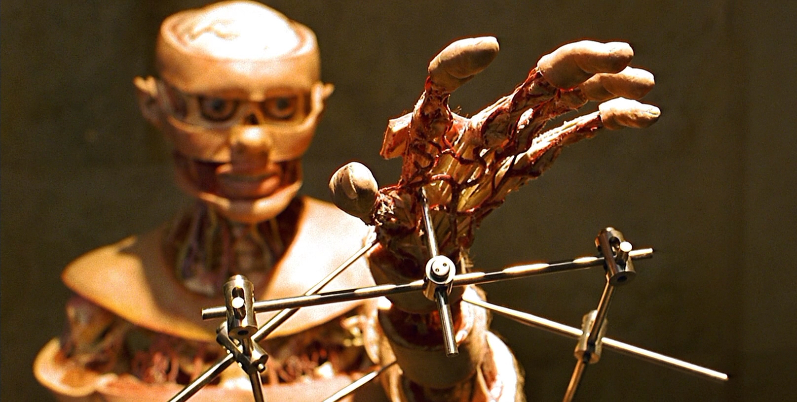 german horror anatomie
