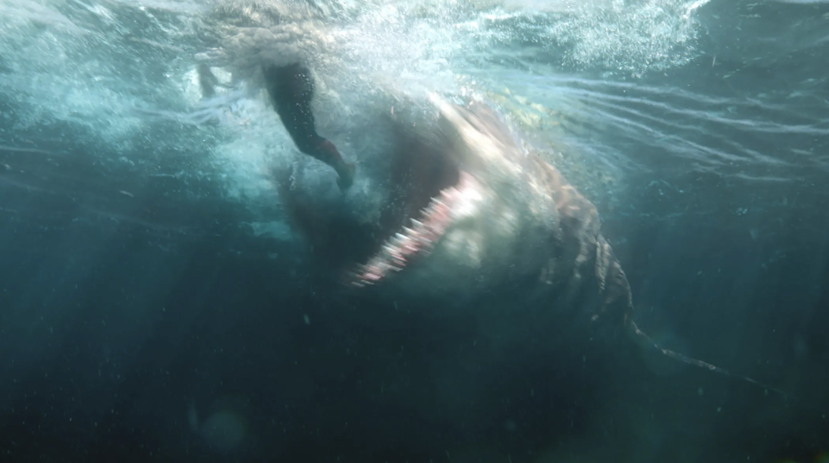 'The Meg' Sequel Begins Shooting Under the Title 'Meg 2: The Trench'