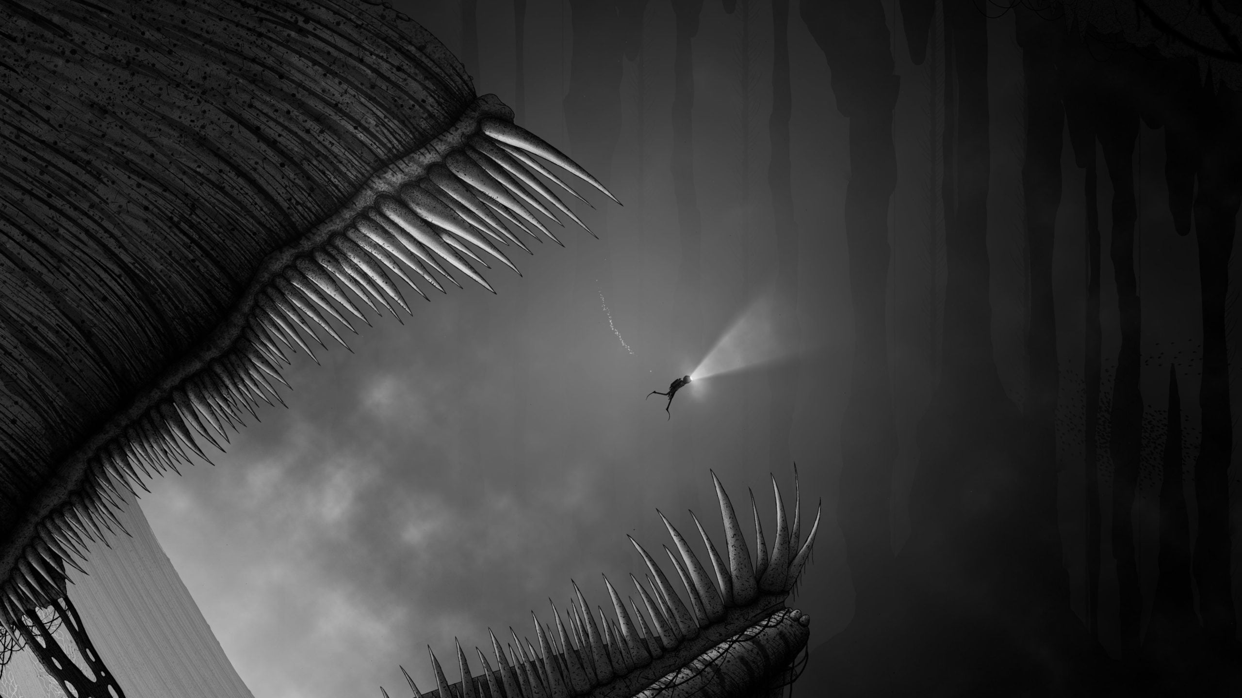 silt preview 02
