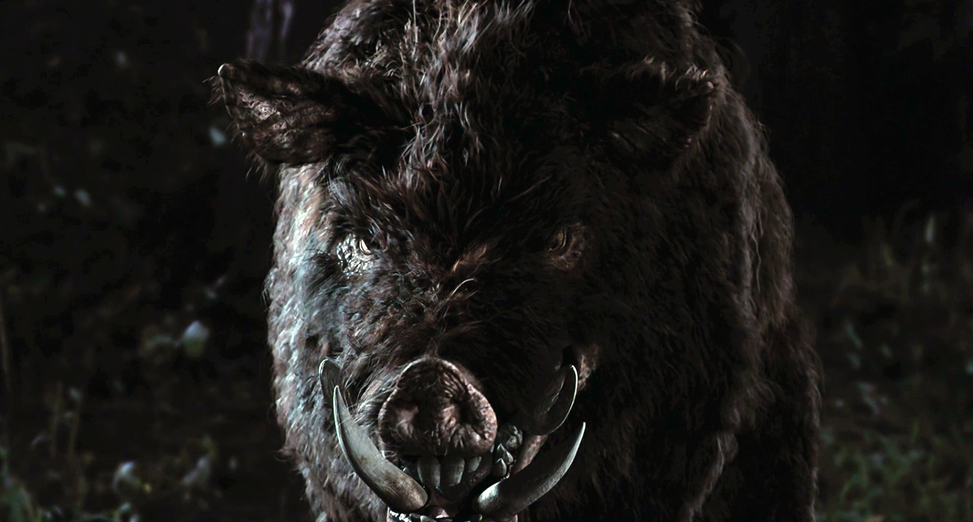 Chaw killer boar