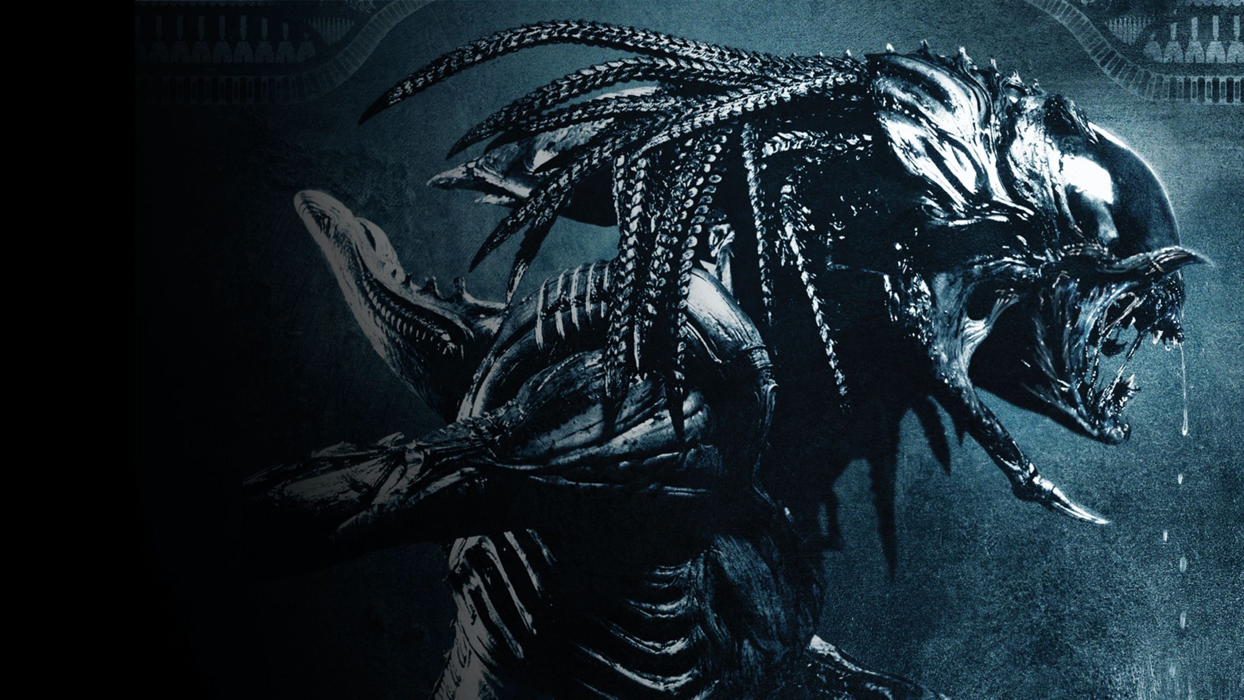 Aliens Vs Predator 1, action, alien, game, movie, HD phone
