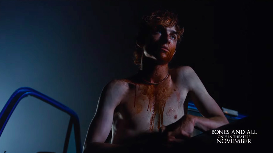 Timothée Chalamet's Cannibal Movie Widely Praised In Bones & All