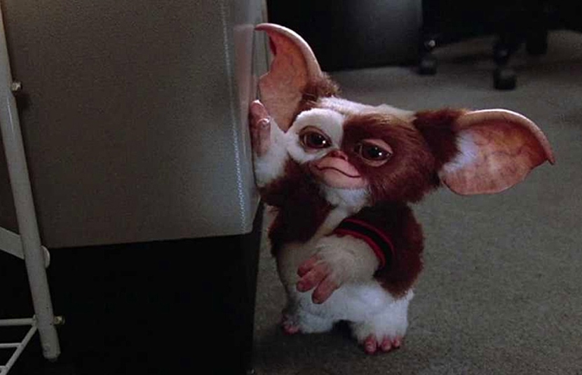 Gizmo, Stripe From 'Gremlins' Gizmo From 'Gremlins' Coming to 'MultiVersus'  Next Tuesday, Stripe to Follow - Bloody Disgusting