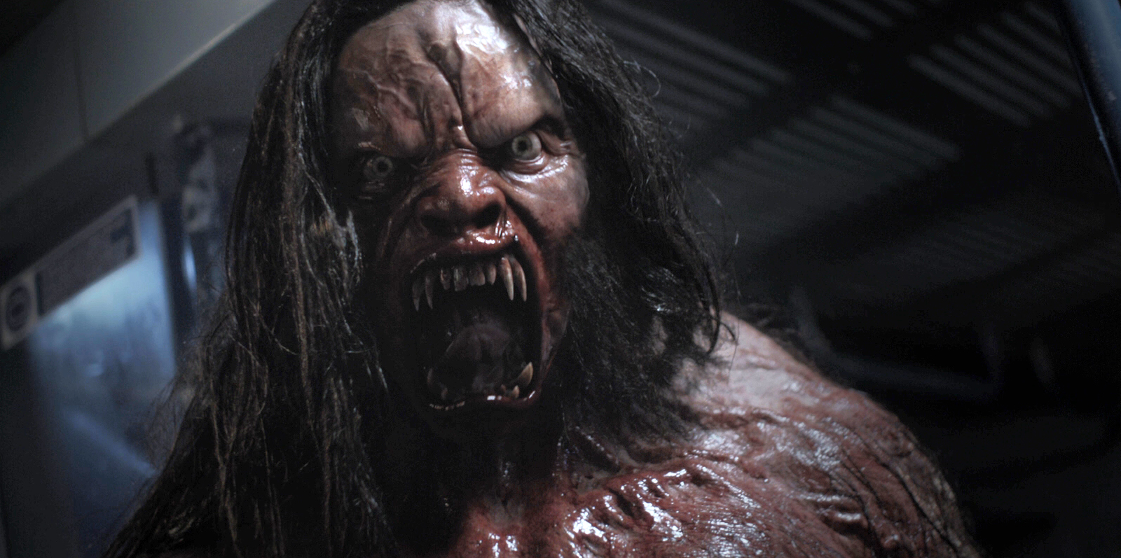 Howl - Vicious 2015 Horror Movie Is Train to Busan With Werewolves picture